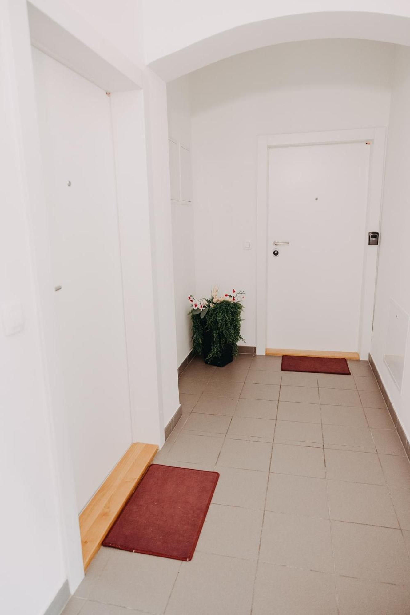 Apartments Miki'S بليد المظهر الخارجي الصورة