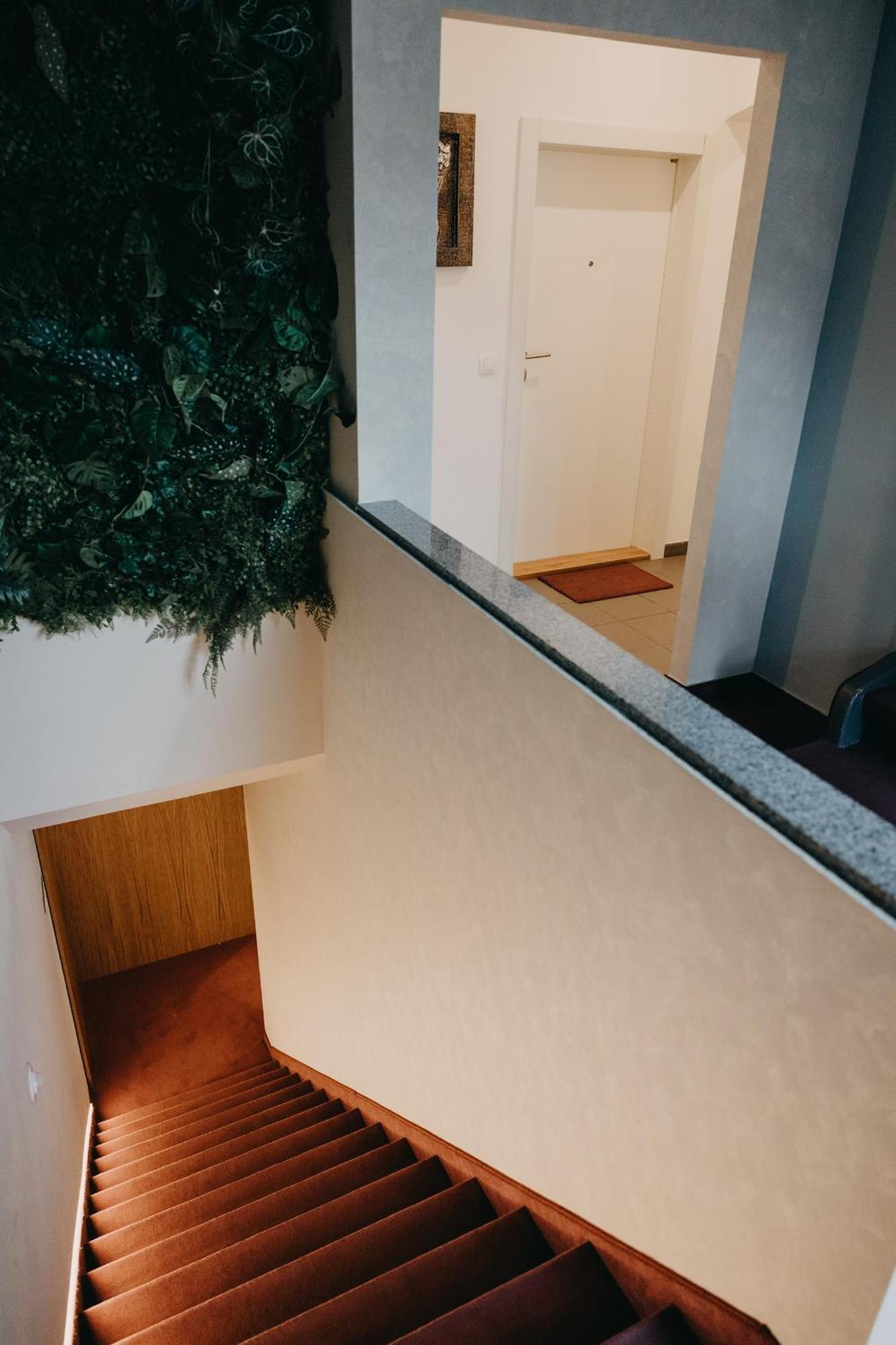 Apartments Miki'S بليد المظهر الخارجي الصورة